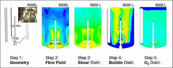 Steps of CFD Simulation